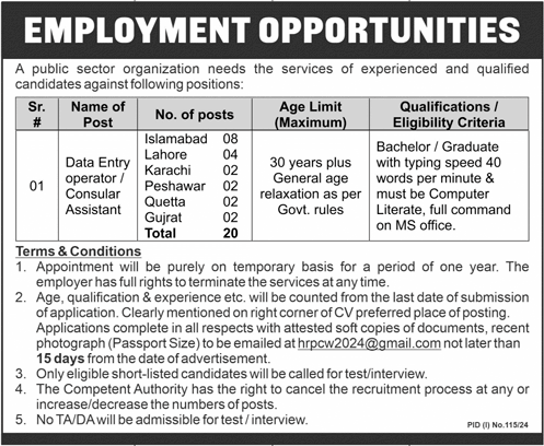 Public Sector Organization Jobs 2024