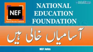 nef jobs