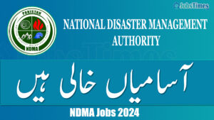 NDMA jobs