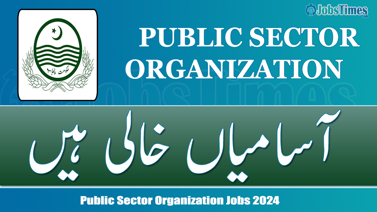 Public Sector Organization jobs