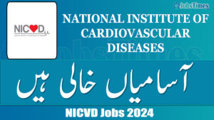 NICVD jobs