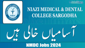 NMDC jobs