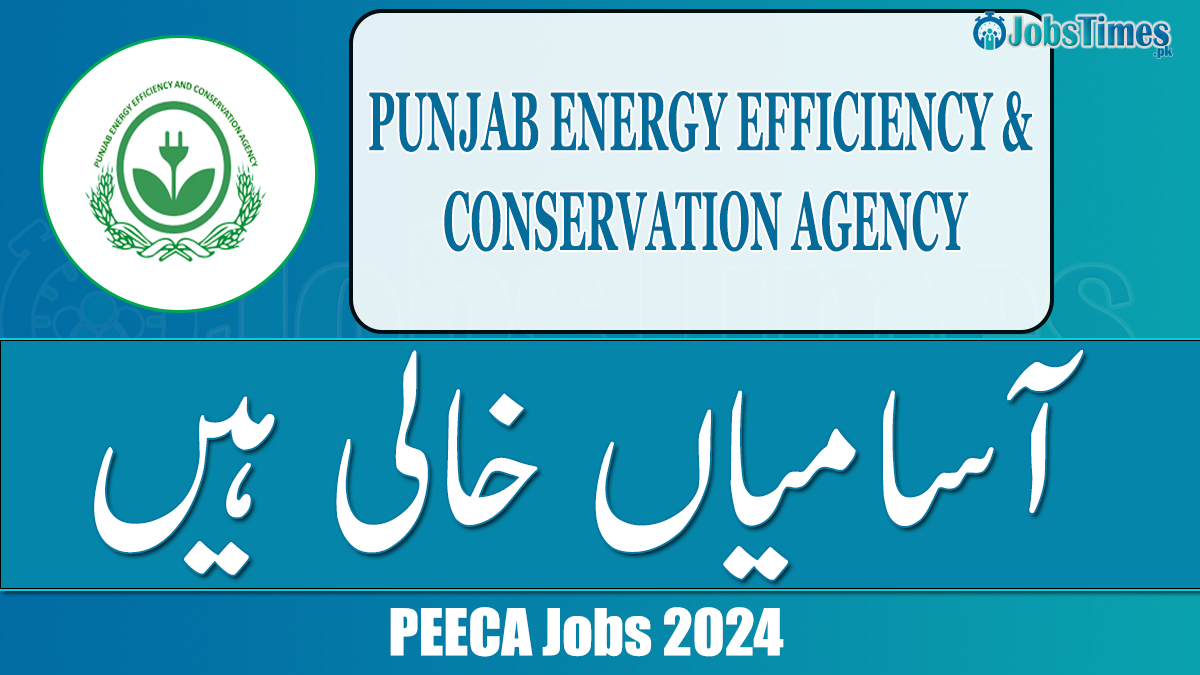 PEECA jobs