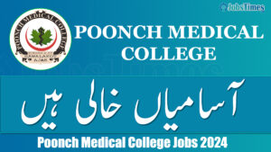 Poonch Medical College jobs