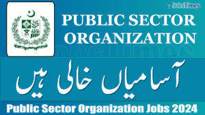 Public Sector Organization jobs