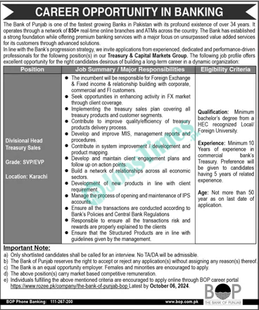 Bank of Punjab BOP Jobs 2024