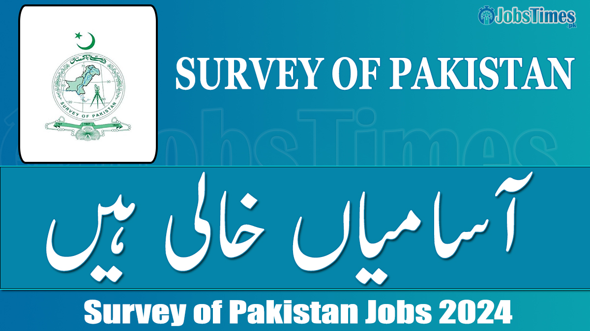 Survey of Pakistan jobs