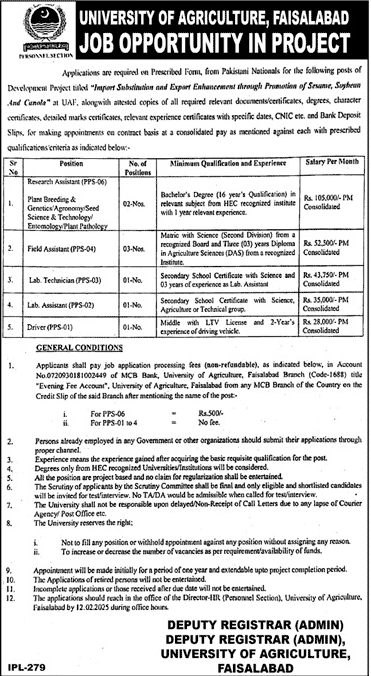 University of Agriculture Faisalabad Jobs 2025